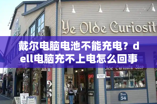 戴尔电脑电池不能充电？dell电脑充不上电怎么回事-第1张图片-星选测评