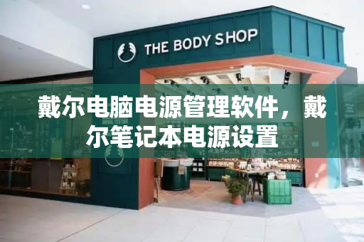戴尔电脑电源管理软件，戴尔笔记本电源设置-第1张图片-星选测评