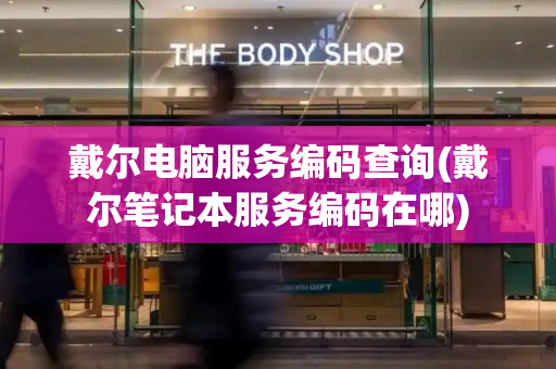 戴尔电脑服务编码查询(戴尔笔记本服务编码在哪)