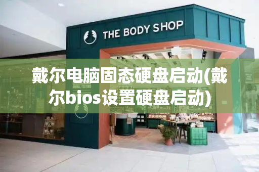 戴尔电脑固态硬盘启动(戴尔bios设置硬盘启动)