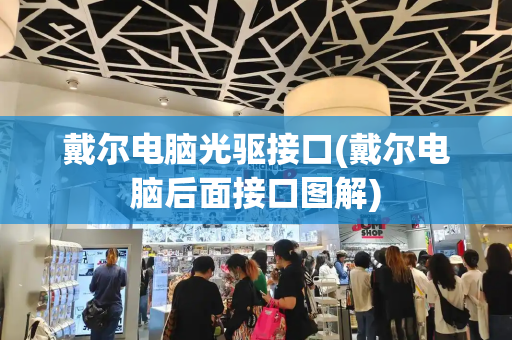 戴尔电脑光驱接口(戴尔电脑后面接口图解)-第1张图片-星选测评