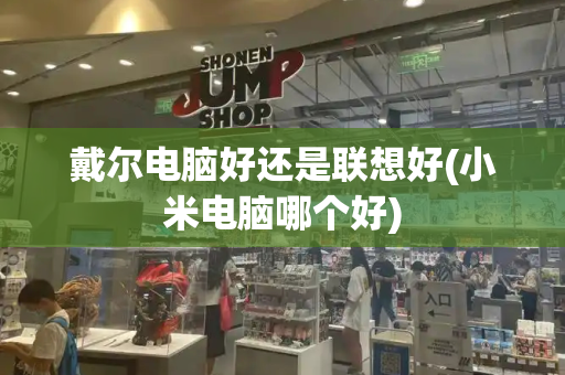 戴尔电脑好还是联想好(小米电脑哪个好)-第1张图片-星选测评