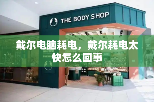 戴尔电脑耗电，戴尔耗电太快怎么回事