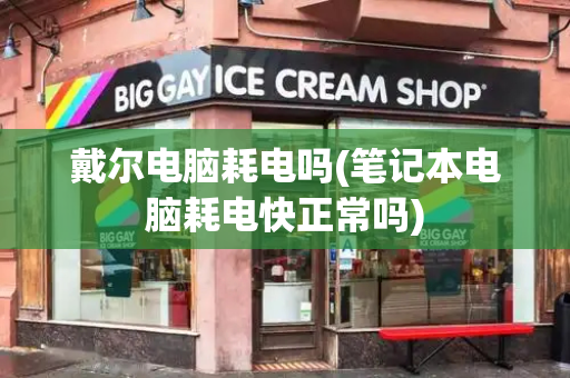 戴尔电脑耗电吗(笔记本电脑耗电快正常吗)