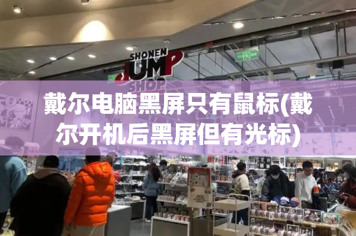 戴尔电脑黑屏只有鼠标(戴尔开机后黑屏但有光标)-第1张图片-星选测评