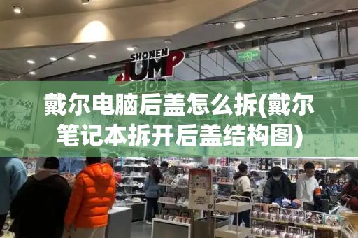 戴尔电脑后盖怎么拆(戴尔笔记本拆开后盖结构图)