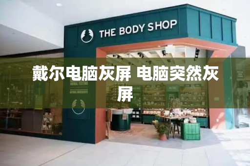 戴尔电脑灰屏 电脑突然灰屏-第1张图片-星选测评