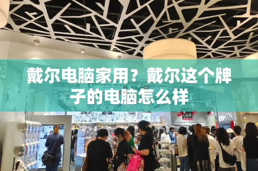 戴尔电脑家用？戴尔这个牌子的电脑怎么样