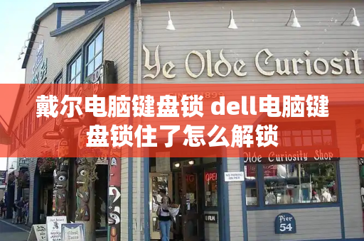 戴尔电脑键盘锁 dell电脑键盘锁住了怎么解锁-第1张图片-星选测评