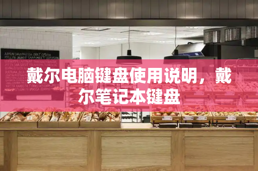 戴尔电脑键盘使用说明，戴尔笔记本键盘