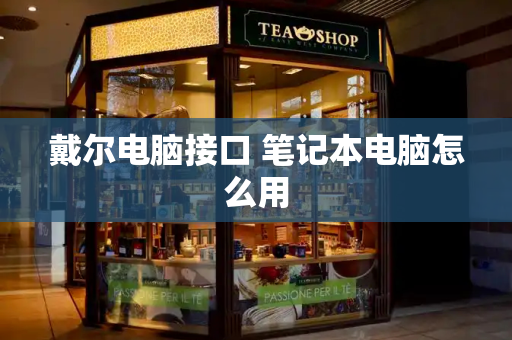 戴尔电脑接口 笔记本电脑怎么用-第1张图片-星选测评