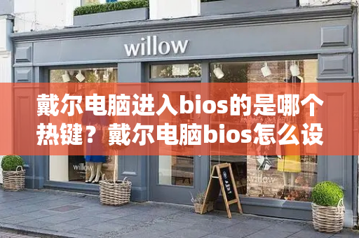 戴尔电脑进入bios的是哪个热键？戴尔电脑bios怎么设置-第1张图片-星选测评