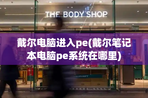 戴尔电脑进入pe(戴尔笔记本电脑pe系统在哪里)-第1张图片-星选测评