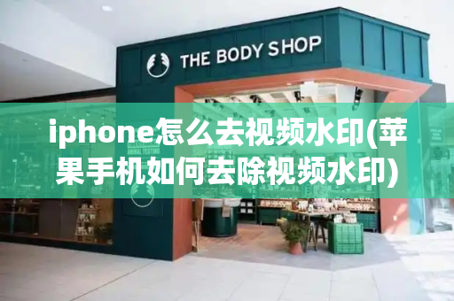 iphone怎么去视频水印(苹果手机如何去除视频水印)-第1张图片-星选测评