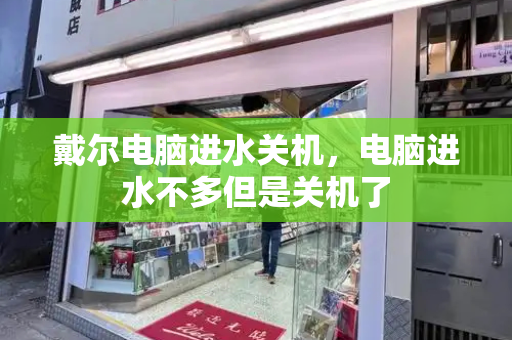 戴尔电脑进水关机，电脑进水不多但是关机了-第1张图片-星选测评