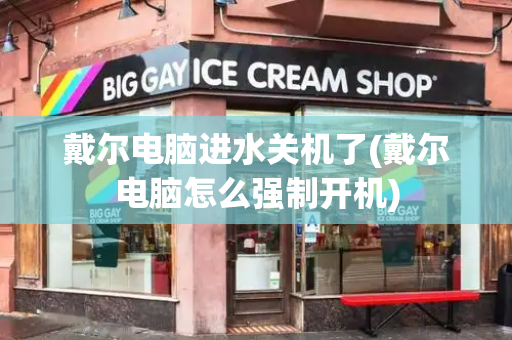 戴尔电脑进水关机了(戴尔电脑怎么强制开机)