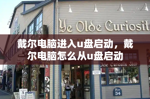 戴尔电脑进入u盘启动，戴尔电脑怎么从u盘启动-第1张图片-星选测评