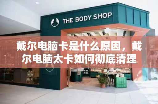 戴尔电脑卡是什么原因，戴尔电脑太卡如何彻底清理-第1张图片-星选测评