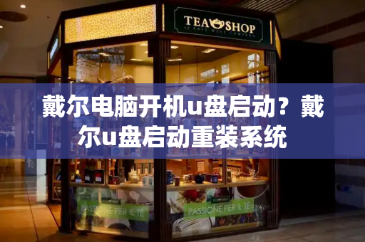 戴尔电脑开机u盘启动？戴尔u盘启动重装系统