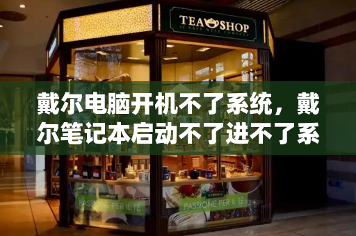 戴尔电脑开机不了系统，戴尔笔记本启动不了进不了系统