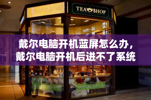 戴尔电脑开机蓝屏怎么办，戴尔电脑开机后进不了系统怎么办