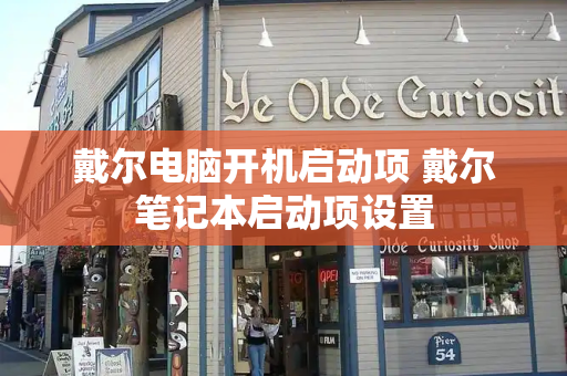 戴尔电脑开机启动项 戴尔笔记本启动项设置-第1张图片-星选测评