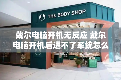戴尔电脑开机无反应 戴尔电脑开机后进不了系统怎么办-第1张图片-星选测评