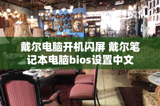戴尔电脑开机闪屏 戴尔笔记本电脑bios设置中文-第1张图片-星选测评