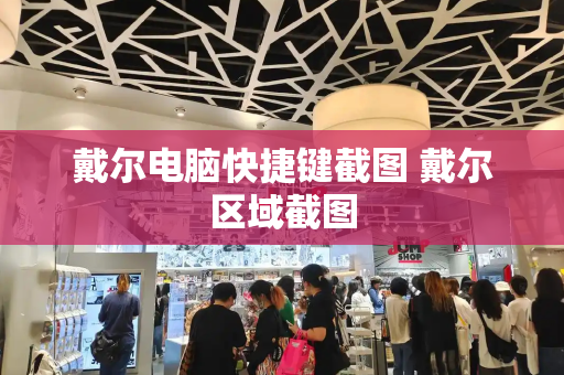 戴尔电脑快捷键截图 戴尔区域截图-第1张图片-星选测评