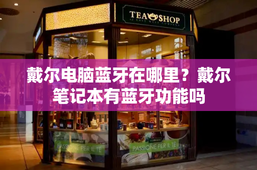戴尔电脑蓝牙在哪里？戴尔笔记本有蓝牙功能吗-第1张图片-星选测评