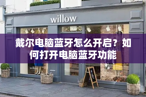 戴尔电脑蓝牙怎么开启？如何打开电脑蓝牙功能-第1张图片-星选测评