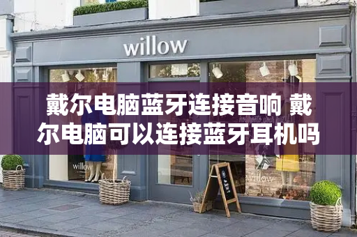 戴尔电脑蓝牙连接音响 戴尔电脑可以连接蓝牙耳机吗-第1张图片-星选测评