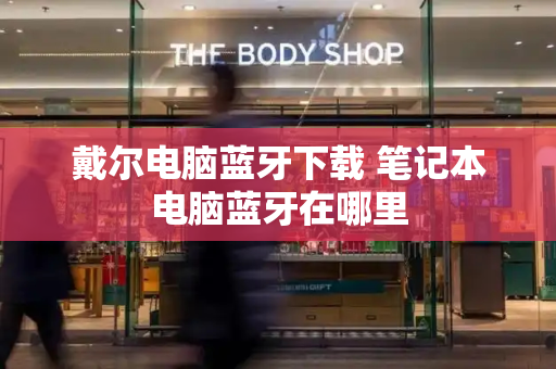 戴尔电脑蓝牙下载 笔记本电脑蓝牙在哪里-第1张图片-星选测评
