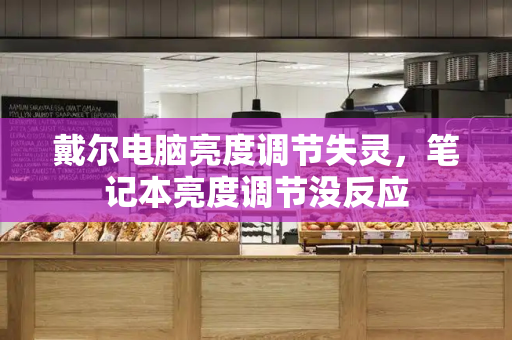 戴尔电脑亮度调节失灵，笔记本亮度调节没反应-第1张图片-星选测评