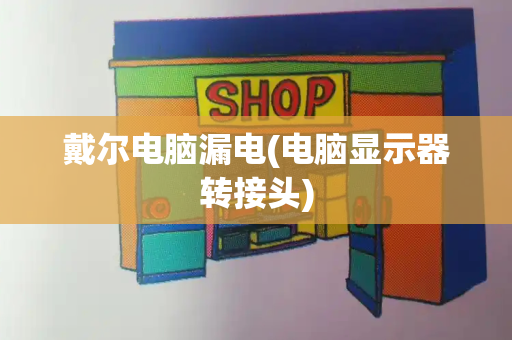 戴尔电脑漏电(电脑显示器转接头)-第1张图片-星选测评