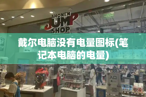 戴尔电脑没有电量图标(笔记本电脑的电量)-第1张图片-星选测评