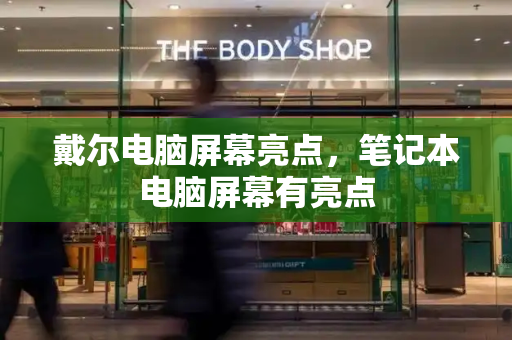 戴尔电脑屏幕亮点，笔记本电脑屏幕有亮点