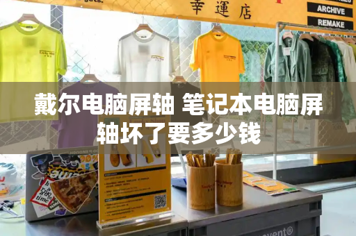 戴尔电脑屏轴 笔记本电脑屏轴坏了要多少钱
