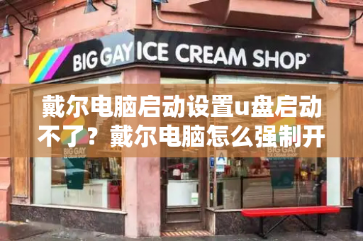 戴尔电脑启动设置u盘启动不了？戴尔电脑怎么强制开机-第1张图片-星选测评