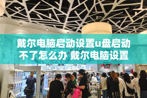 戴尔电脑启动设置u盘启动不了怎么办 戴尔电脑设置u盘启动项