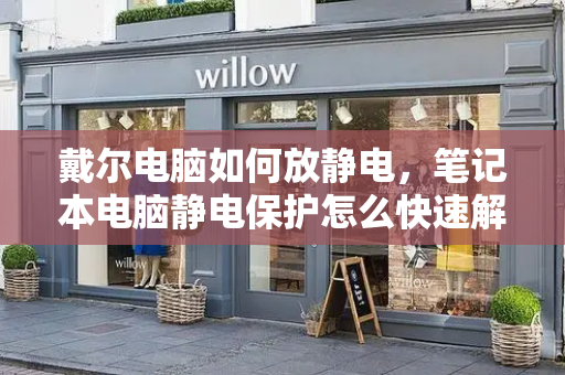 戴尔电脑如何放静电，笔记本电脑静电保护怎么快速解决