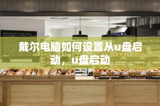 戴尔电脑如何设置从u盘启动，u盘启动