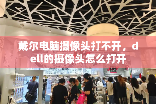 戴尔电脑摄像头打不开，dell的摄像头怎么打开