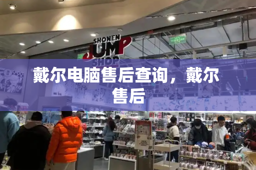 戴尔电脑售后查询，戴尔 售后-第1张图片-星选测评