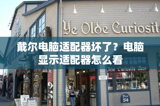 戴尔电脑适配器坏了？电脑显示适配器怎么看-第1张图片-星选测评