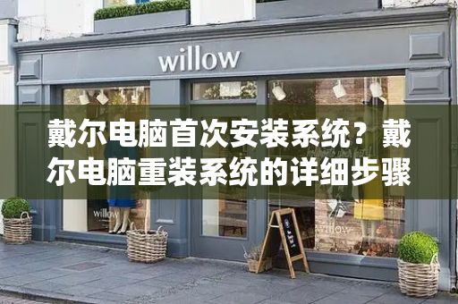 戴尔电脑首次安装系统？戴尔电脑重装系统的详细步骤-第1张图片-星选测评