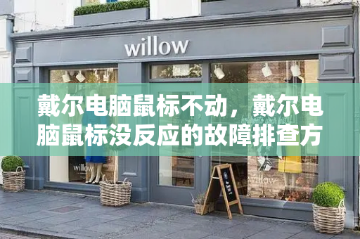 戴尔电脑鼠标不动，戴尔电脑鼠标没反应的故障排查方法-第1张图片-星选测评