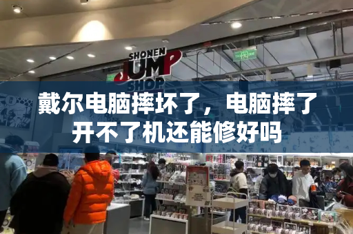 戴尔电脑摔坏了，电脑摔了开不了机还能修好吗-第1张图片-星选测评