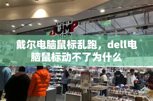 戴尔电脑鼠标乱跑，dell电脑鼠标动不了为什么-第1张图片-星选测评