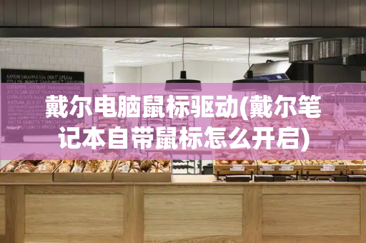 戴尔电脑鼠标驱动(戴尔笔记本自带鼠标怎么开启)-第1张图片-星选测评